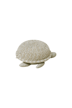 Load image into Gallery viewer, Basket Baby Turtle: 4&quot; x 10&quot; x 9&quot;