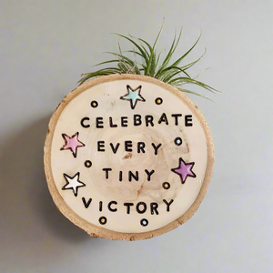 Celebrate Every Tiny Victory-Small Wood Round (Air Plant Magnet ) - littlelightcollective