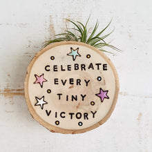 Load image into Gallery viewer, Celebrate Every Tiny Victory-Small Wood Round (Air Plant Magnet ) - littlelightcollective